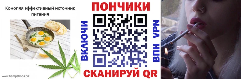 Canna-Cookies марихуана  Опочка 